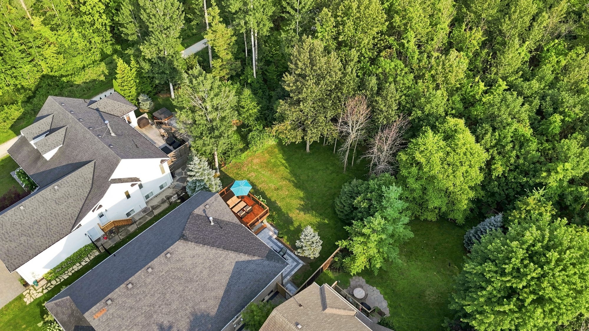 Aerial view directly above 110 Mary Street, Collingwood, showing the roofline, deck and deep treed rear yard